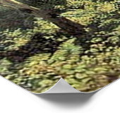 Oak Forest | Landschapsolie Poster (Hoek)