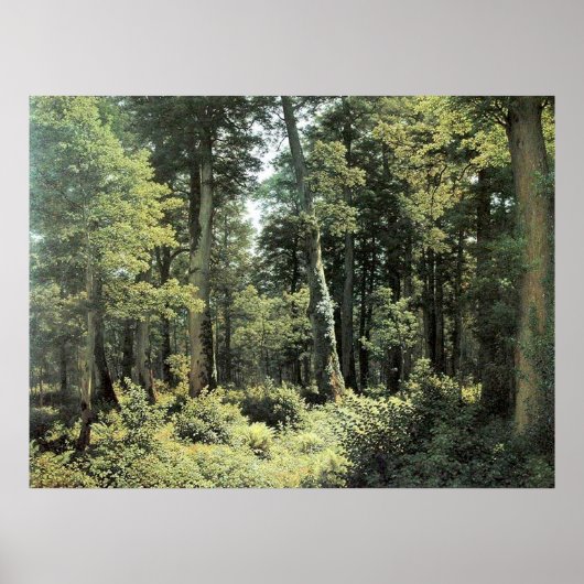 Oak Forest | Landschapsolie Poster (Voorkant)
