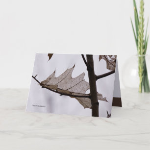 Oak Ghost Leaf Kaart