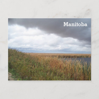 Oak Hammock Marsh Briefkaart