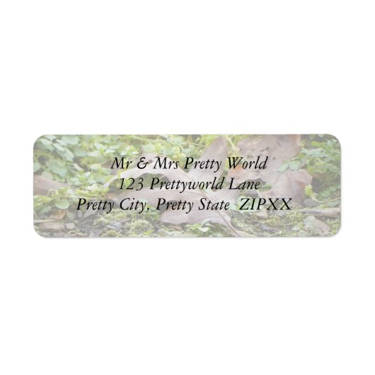 Oak Leaf en Chickweed Etiket (Voorkant)