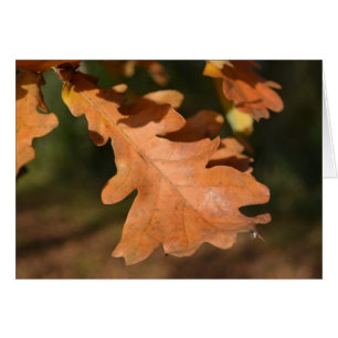 Oak Leaves Kaart
