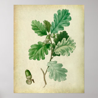 Oak Leaves Wall Art nr. 2 Farmhouse Decor Poster