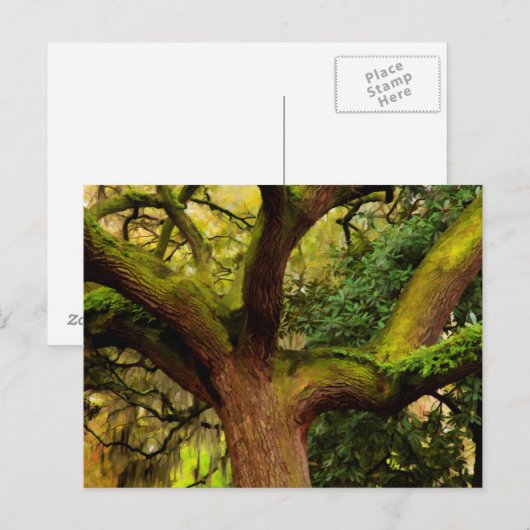 Oak tree briefkaart (Voorkant / Achterkant)