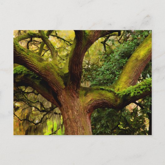Oak tree briefkaart (Voorkant)