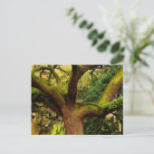 Oak tree briefkaart (Staand voorkant)