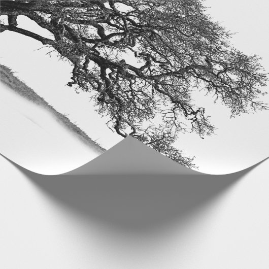 OAK TREE CADEAUPAPIER (Hoek)