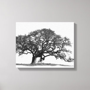 OAK TREE CANVAS AFDRUK
