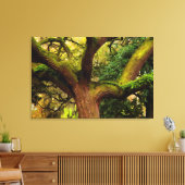 Oak tree canvas afdruk (Insitu (Woonkamer))