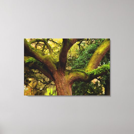 Oak tree canvas afdruk (Voorkant)
