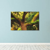 Oak tree canvas afdruk (Insitu (Houten vloer))