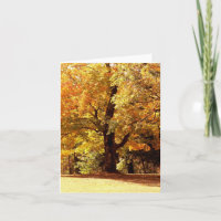 Oak Tree in Fall