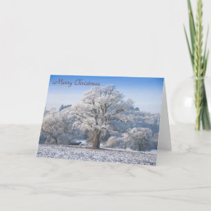 Oak Tree in Frost Christmas Kaart