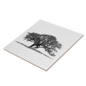 OAK TREE IN SILHOUETTE  TEGELTJE (Zijkant)