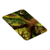 Oak tree magneet (Rechterzijde)