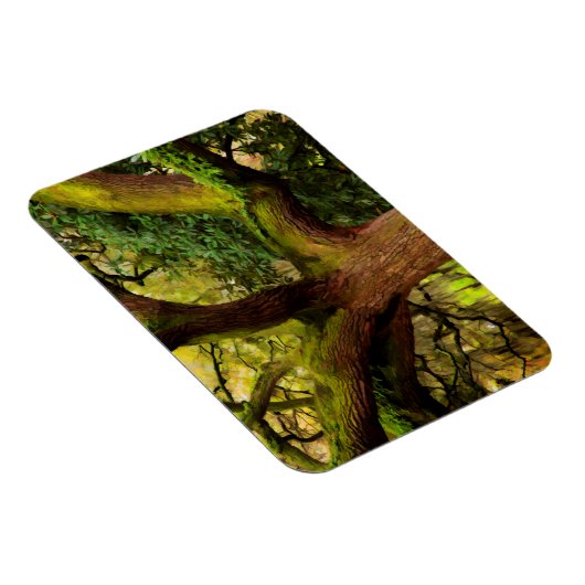 Oak tree magneet (Rechterzijde)