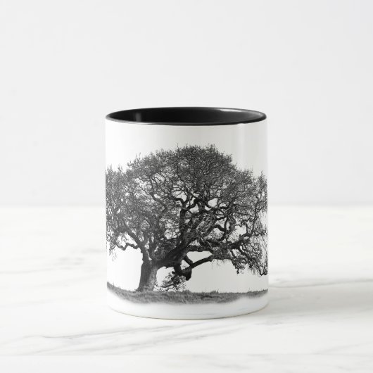 OAK TREE MOK (Midden)