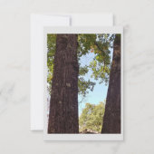 Oak Tree Note Kaart (Voorkant)