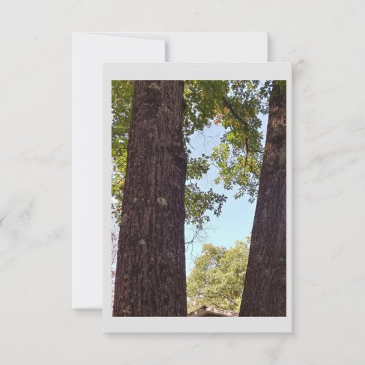 Oak Tree Note Kaart (Voorkant)