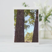 Oak Tree Note Kaart (Staand voorkant)