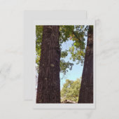 Oak Tree Note Kaart (Voorkant / Achterkant)