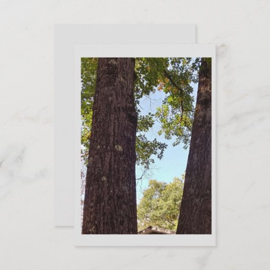 Oak Tree Note Kaart (Voorkant / Achterkant)