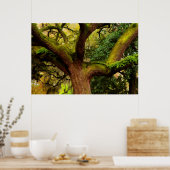 Oak tree poster (Keuken)