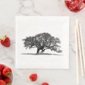 OAK TREE SERVET (Insitu)