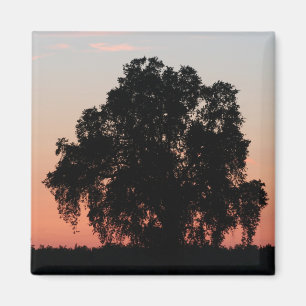 Oak Tree Silhouette bij Nightfall Magnet Magneet