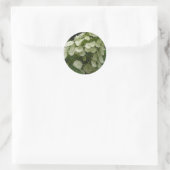 Oakleaf Hydrangea (Hydrangea quercifolia) stickers (Tas)