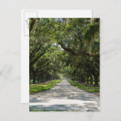 Oaks Briefkaart (Voorkant / Achterkant)