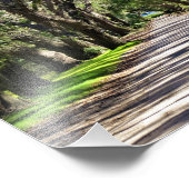 Oaks Foto Afdruk (Hoek)