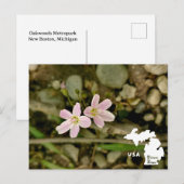 Oakwoods Metropark Springbeauty met Logo Briefkaart (Voorkant / Achterkant)