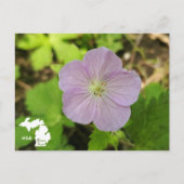 Oakwoods Metropark Wild Geranium met Logo Briefkaart (Voorkant)