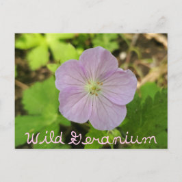 Oakwoods Metropark Wild Geranium met tekst Briefkaart
