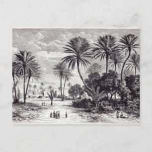 Oase van Gafsa: Tunis Briefkaart