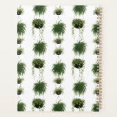 Oasis intérieure | Paniers pendants (Dos)