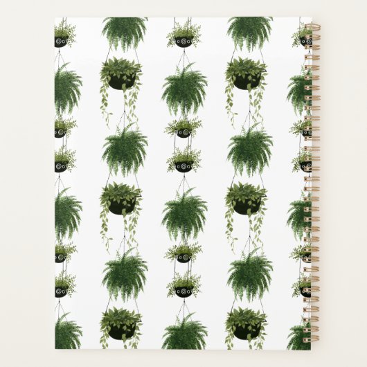 Oasis intérieure | Paniers pendants (Dos)