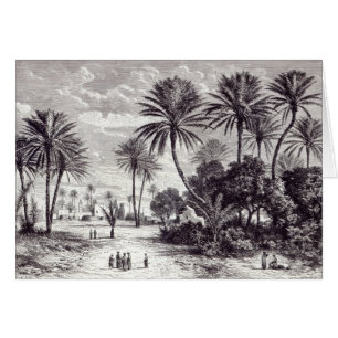 Oasis van Gafsa: Tunis