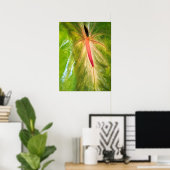 Obake Anthurium Poster (Thuiskantoor)