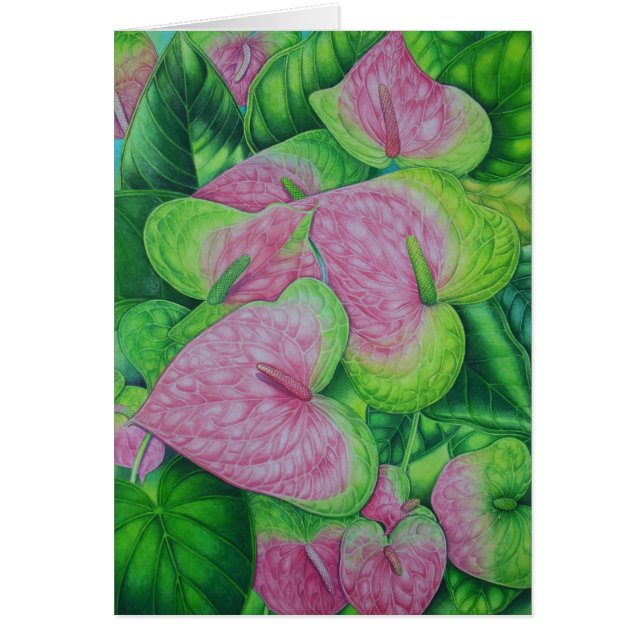 Obake Anthuriums (Voorkant)