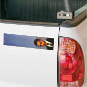 Obama Bumperstickers (Op Truck)