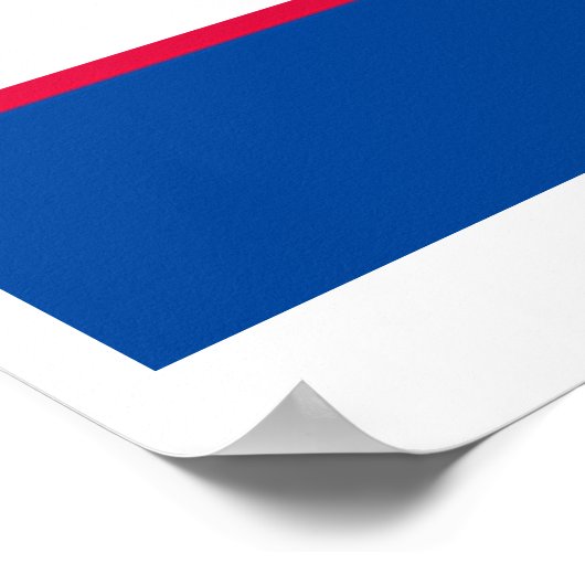 Obama FORWARD Poster (Hoek)