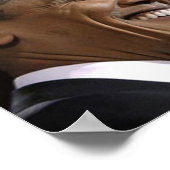 Obama Inauguration Poster (Hoek)