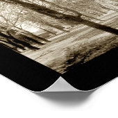 Oberlin College, Ohio Foto 1909 Poster (Hoek)