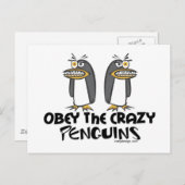 Obey de gekke pinguïns! briefkaart (Voorkant / Achterkant)