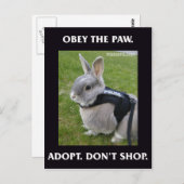 Obey het Briefkaart van de Pauw (Voorkant / Achterkant)