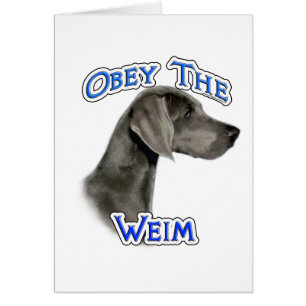 Obey le Weimaraner