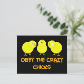 Obey The Crazy Chicks Briefkaart (Staand voorkant)