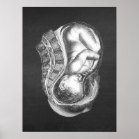 OBGYN Anatomy Art Decor nr. 3